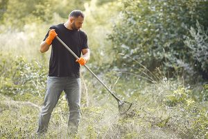 Man collects leaves and cleans the park Volunteer collects leaves. Man in a park. Male cleans the park