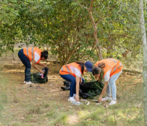 Yard Cleanup Yard Cleanup